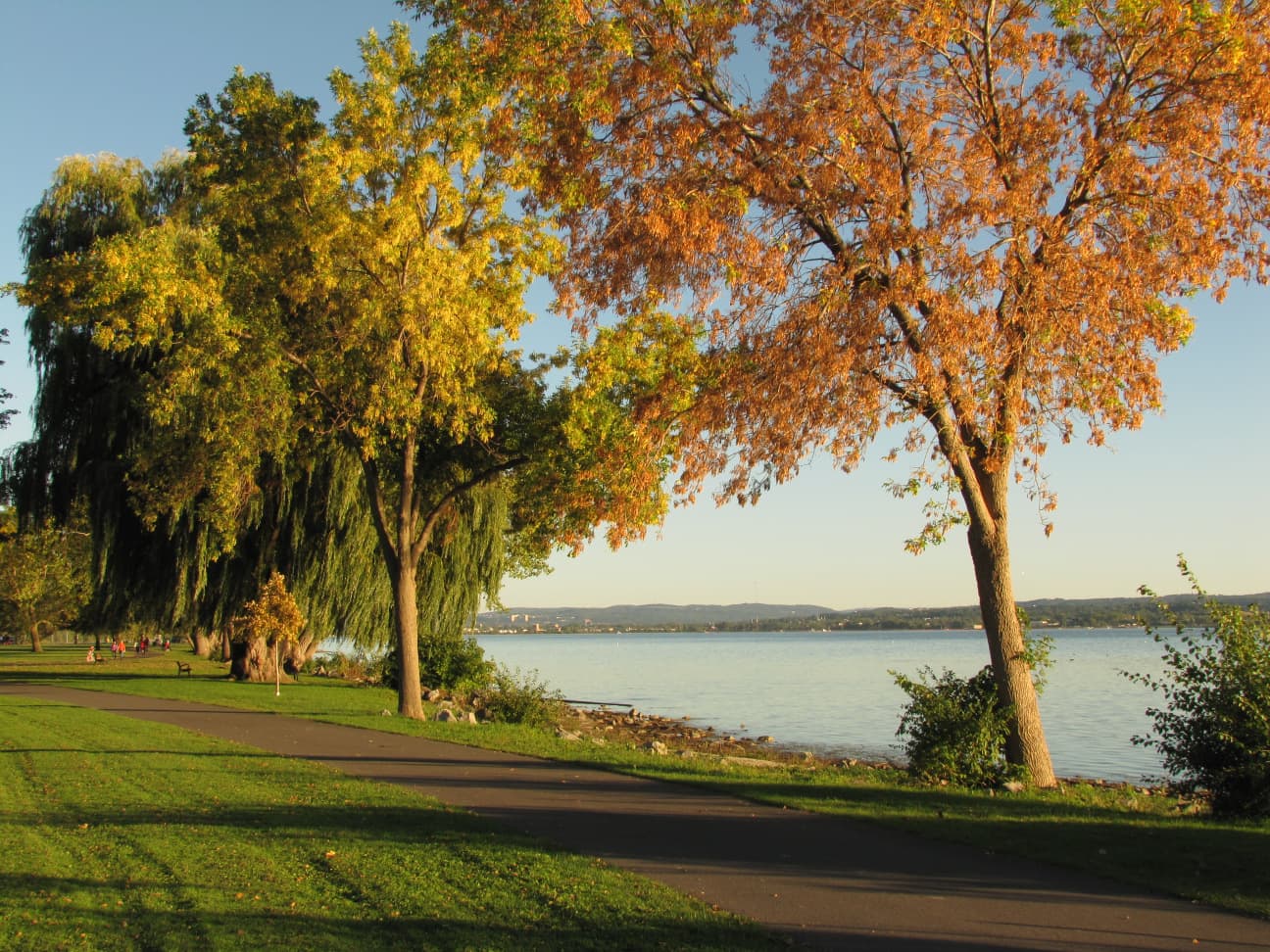 Tax Planning and Advocacy