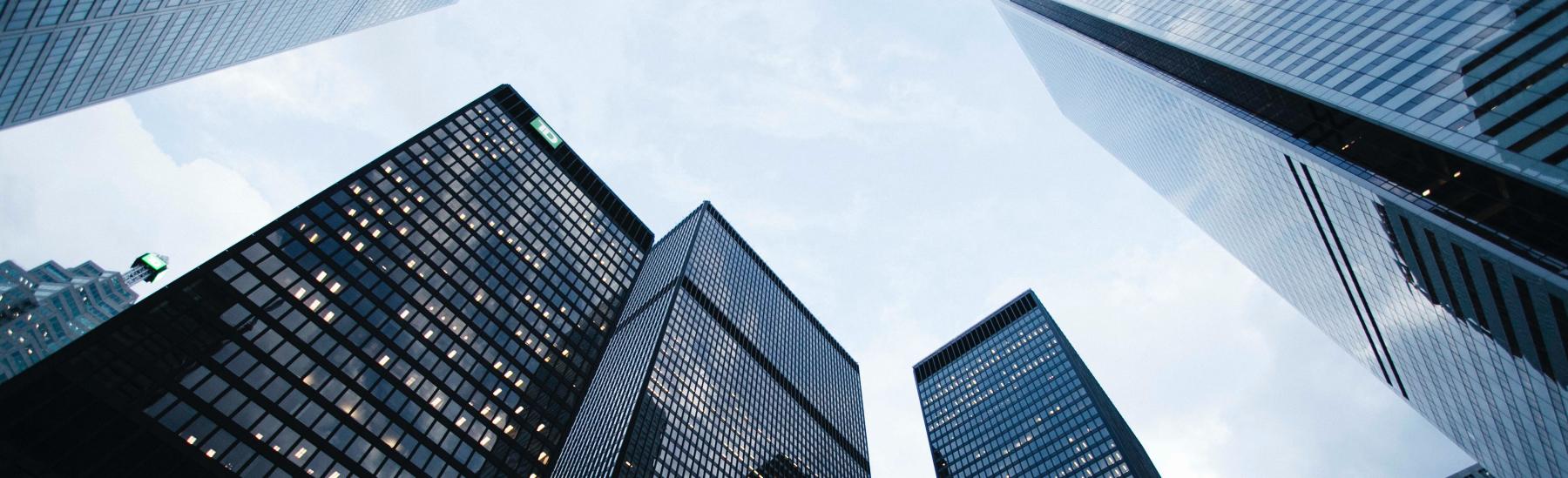 Corporate Immigration Services and Support